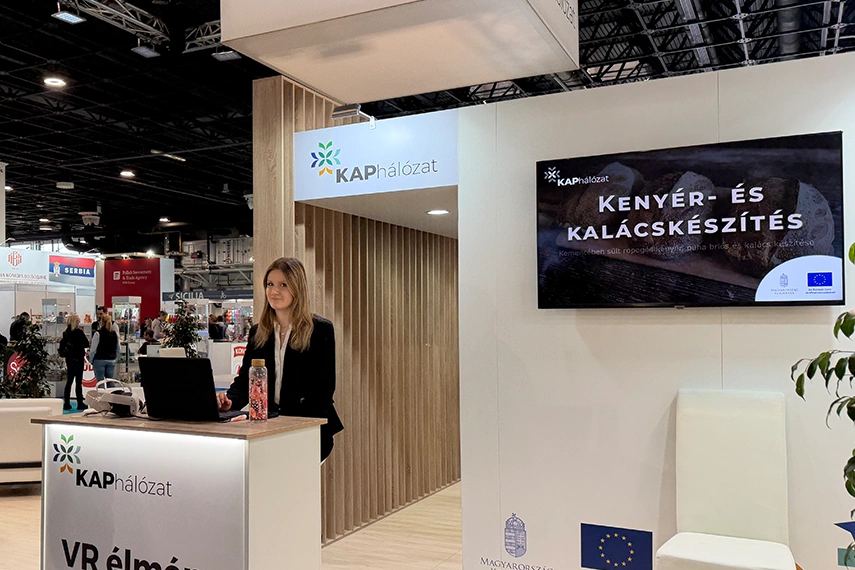 virtuális valóság alkalmazás, vr fejlesztés